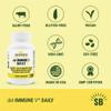 Del-Immune V Daily by Stellar Biotics, All-Natural Immune Support & Gut Health, Immediate Care, Metabiotic: NextGen Probiotic Therapy (120 Caps) view 2