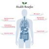 Foods For Gut Bacillus Coagulans Probiotic Powder 350 Billion cfu's | No Additives | Direct from Manufacturer | Digestive & Immune Support | High Potency | B. Coagulans | 30 Grams (1.05 Oz) view 4