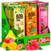 BOB SNAIL Healthy Fruit Snacks for Adults & Kids view 2