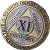 11 Year AA Medallion Reflex Birthday Funfetti Silver Glitter Gold Plated Color Chip view 1