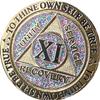 11 Year AA Medallion Reflex Birthday Funfetti Silver Glitter Gold Plated Color Chip view 3