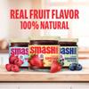 Smash Foods Jam Variety 3-Pack Classics | No Sugar Added, Naturally Sweet Jelly | Keto Friendly, Low Calorie, Low Carb | Non GMO, Upcycled, Vegan, Plant Based, Paleo | Strawberry, Raspberry, Blueberry view 2