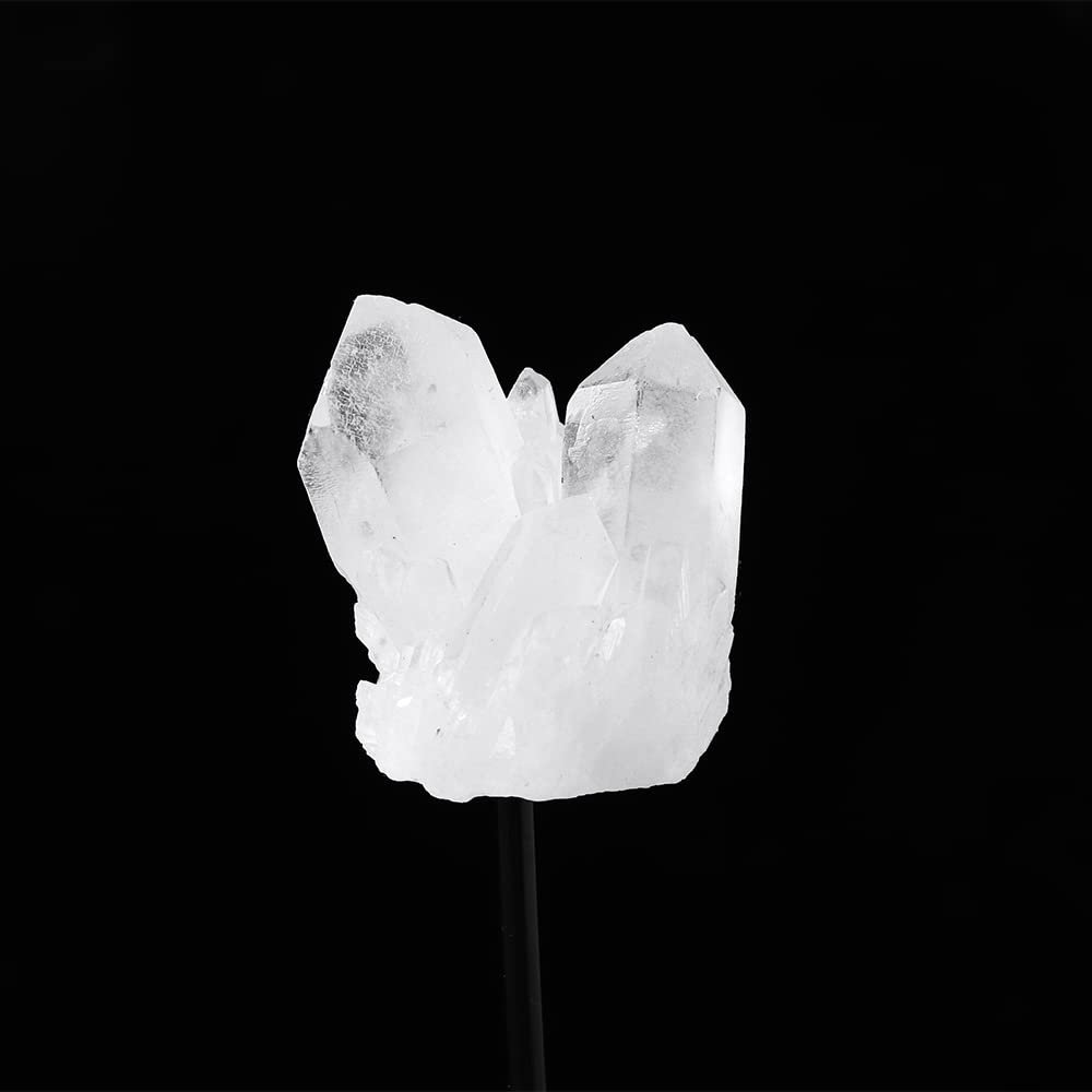 HXSCOO 1PC Natural Raw Quartz Clear Crystal Cluster Healing Stones Crystal Point Specimen Table Support Accessories (Color : Clear Quartz)