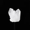 HXSCOO 1PC Natural Raw Quartz Clear Crystal Cluster Healing Stones Crystal Point Specimen Table Support Accessories (Color : Clear Quartz) view 1