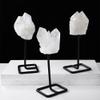 HXSCOO 1PC Natural Raw Quartz Clear Crystal Cluster Healing Stones Crystal Point Specimen Table Support Accessories (Color : Clear Quartz) view 3
