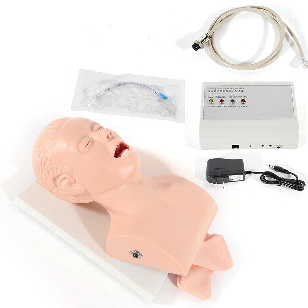 CNCEST Airway Manikin Study Teaching Model, Oral Nasal Intubation Manikin Training Study Teaching, Model Airway Management Trainer (Adult Model-2)