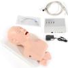 CNCEST Airway Manikin Study Teaching Model, Oral Nasal Intubation Manikin Training Study Teaching, Model Airway Management Trainer (Adult Model-2) view 1