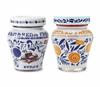 Amarena Fabbri Wild Cherries in syrup and Fabbri Ginger in syrup COMBO, 8oz view 1