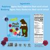 BEAR Fruit Snack Minis  Bite-Sized Snacks For Kids - Gluten Free, Vegan, Non-GMO - Raspberry/Blueberry 0.7oz (1 Count) view 2