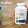Palmara Health Clean L-Lysine 600mg, 120 Capsules | Vegan, Non-GMO, & Gluten Free view 2