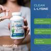 Palmara Health Clean L-Lysine 600mg, 120 Capsules | Vegan, Non-GMO, & Gluten Free view 4