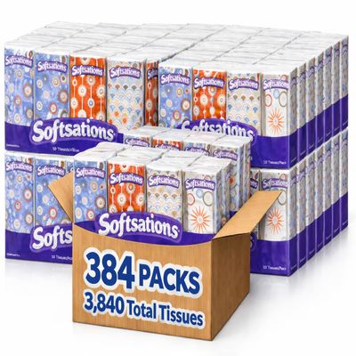 3,840 Count 3-Ply Pocket Facial Tissues  384 Travel Packs with 10 Tissues Each, Bulk Value Pack