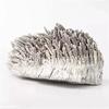 1pc Magnesite Mineral Healing Specimens Formed Magnesium ore as raw Stone or Decoration view 1