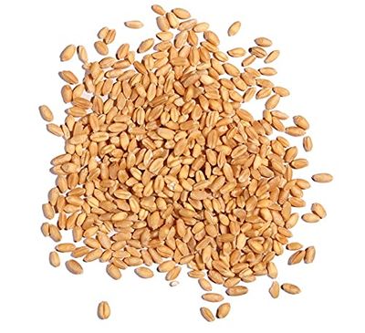 Wheat Berries - 5 Pounds - Farm Fresh Hard Red Winter Wheat Berries - Made in USA