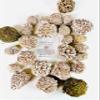 1 Desert Rose -Power Healing Crystals, Desert Rose Crystals, Selenite Crystal Stones, Large Natural Sand Stone, Spiritual Stone 1-1.5" Stones view 1