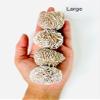 1 Desert Rose -Power Healing Crystals, Desert Rose Crystals, Selenite Crystal Stones, Large Natural Sand Stone, Spiritual Stone 1-1.5" Stones view 4