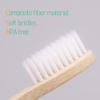 Virgin Forest Bamboo Toothbrushes, 8 Pcs Soft Bristle Eco-Friendly Biodegradable Toothbrushes view 4