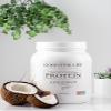 Good for Life Plant-Based Protein, Non GMO, 24 Grams, Pea & Rice Protein, Dairy & Soy Free, 100% Vegan (Coconut) view 3
