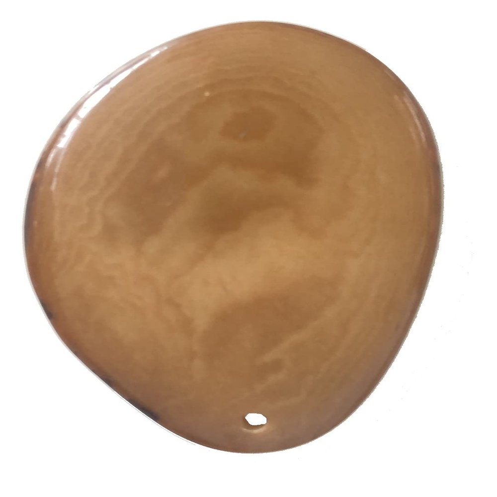 5 XLarge 3-4cm Tagua Nut Slice *Choose Colour* Natural Coloured Vegan Vegetarian Ivory