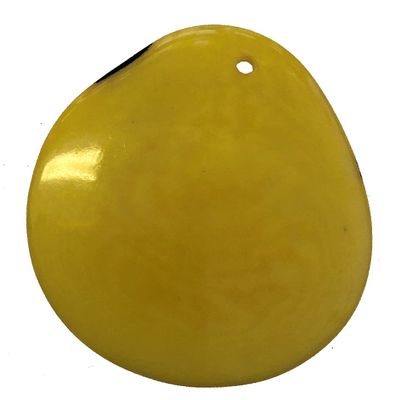 5 XLarge 3-4cm Tagua Nut Slice *Choose Colour* Natural Coloured Vegan Vegetarian Ivory