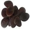 5 XLarge 3-4cm Tagua Nut Slice *Choose Colour* Natural Coloured Vegan Vegetarian Ivory view 1