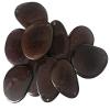 5 XLarge 3-4cm Tagua Nut Slice *Choose Colour* Natural Coloured Vegan Vegetarian Ivory view 3