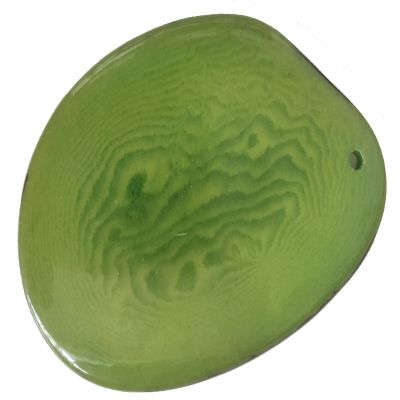 5 XLarge 3-4cm Tagua Nut Slice *Choose Colour* Natural Coloured Vegan Vegetarian Ivory