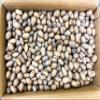 20 lbs - Texas Squirrel Pecans Inshell | Pecans.com | UNABLE TO SHIP INSHELL PECANS TO CALIFORNIA OR ARIZONA view 2