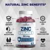 Zinc Gummies - 2 Pack - 50mg High Immune Booster Zinc Supplement, Immune Defense, Powerful Natural Antioxidant, Non-GMO - by New Age (Zinc/Vitamin C) view 4