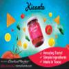 Kicante Salsa (4 Pack, Hot) view 2