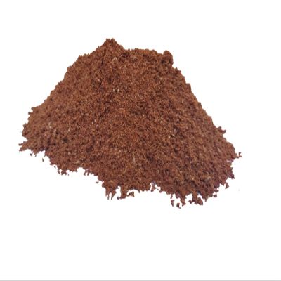Madinah Ajwa Date Seed Powder Pure Organic