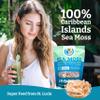 Yemay Organic Dried Sea Moss, Organic Sea Moss Supplement, Raw Sea Moss Wildcrafted to Elevate Immunity | Digestion & More, Gluten & Additive Free | Gold Seamoss, 2.5 oz view 3