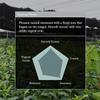 Naoki Matcha Nishio Bloom Masters Collection Matcha  Authentic Japanese Ceremonial Grade Matcha Green Tea Powder from Nishio, Japan (40g / 1.4oz) view 4