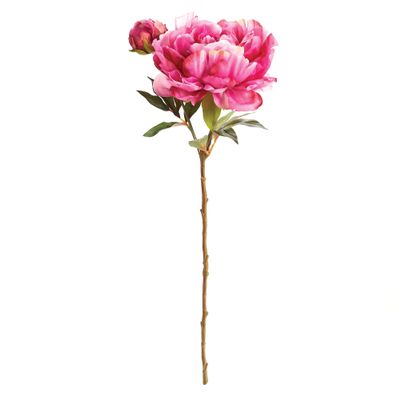 Napa Home & Garden, Peony STEM 21"