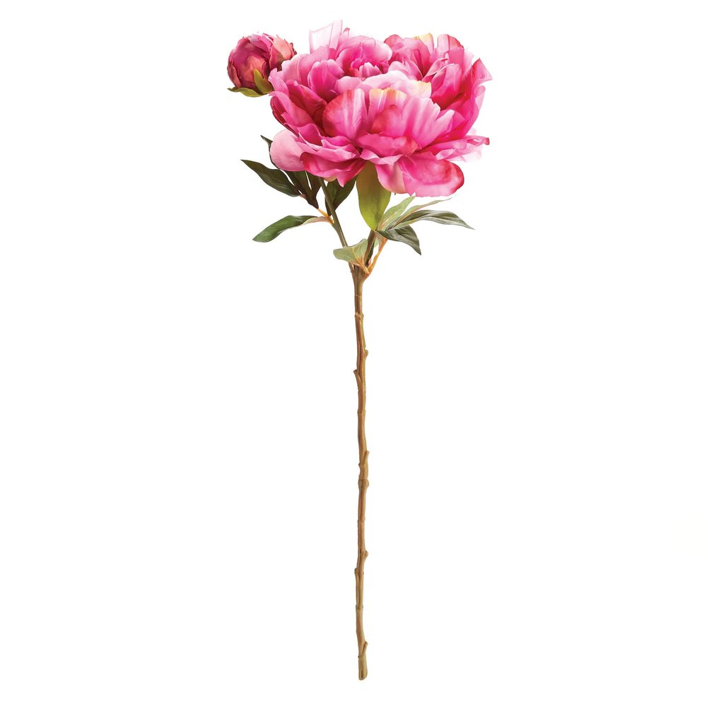 Napa Home & Garden, Peony STEM 21"