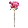 Napa Home & Garden, Peony STEM 21" view 1