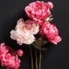 Napa Home & Garden, Peony STEM 21" view 2