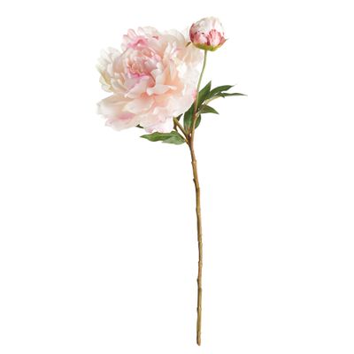Napa Home & Garden, Peony STEM 21"