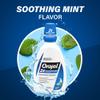 Orajel Nonseptic Mouth Sore Rinse 16oz, Soothing Mint Flavor, Provides Pain Relief, Promotes Healing, 3-Pack view 4