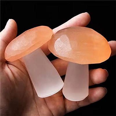 1pc Natural Himalayan Salt Carved Mushrooms for Sale
