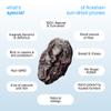 ARASHAN Dried Plums Grown And Plucked From Pristine Plum Trees At The Foot Of The Holy Mountain In Jalal-Abad, Kyrgyzstan  Dried Prunes, Pitted Non-GMO, Halal, Gluten Free, Vegan 1 lb view 4