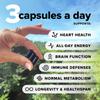 Complement Essential Vegan Multivitamin for Men & Women (60 Servings, 180 Capsules) with Omega-3 DHA & EPA, B12, Vitamin D3 & K2, Zinc, Selenium, Magnesium, Iodine - Supports Immunity & Overall Health view 2