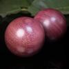 ZHANGDONG Baoding Balls Stress Balls for Adults Hand Exerciser Natural Wooden Stress Relief Balls, Chinese Meditation Ball, Health Exercise Stress Massage Balls Meditation Handball view 2