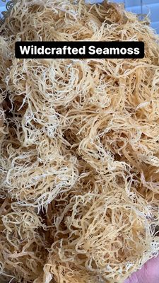 100% Wildcrafted St Lucian Sea Moss - Naturally Grown, Sundried, Organic Sea Moss | 2 oz | No Added Salt, Chemicals