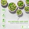 Ecovita 100% Compostable Paper Plates [7 in.]  150 Disposable Plates Eco Friendly Sturdy Tree Free Liquid and Heat Resistant Alternative to Plastic or Paper Plates view 3