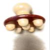 Champin Maderoterapia Mushroom Woodtherapy Tool view 3