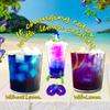Butterfly Pea Tea 17.63 oz | OkO-OkO - Premium - 500g WHOLE DRIED FLOWER from Thailand - Blue natural infusion - Herbal tea - Blue tea - Organic Vegan food coloring - Natural color changing cocktail and meal view 4