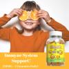 Alfa Vitamins Vitamin C Gummies for Kids with 250mg, Immune System Support, Daily antioxidant for Kids, Natural Orange Flavor - 60 Gummies view 3
