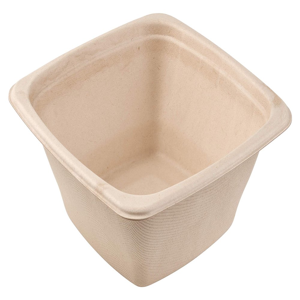 16 oz Eco Friendly Bowls Disposable Compostable Container - Square Bowl Tree Free Sugarcane Bagasse Meal Prep Bento Boxes Take Out Catering Microwavable Deep Container by EcoQuality (250)