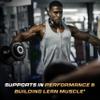 Sandhu's Creapure German Creatine Monohydrate Powder Supplements for Men & Women, Unflavored, 60 Servings (Pack of 2), 21.16 Oz, Sport Supplement Supports Lean Muscle Building view 2